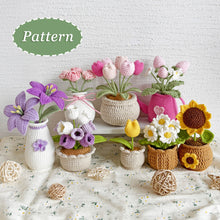 Load image into Gallery viewer, 8in1 Pots of Crochet Flowers Pattern Bundle
