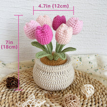 Load image into Gallery viewer, Tulip Flowerpot Pink
