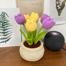 Load image into Gallery viewer, Tulip Flowerpot Crochet Pattern
