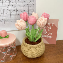 Load image into Gallery viewer, Tulip Flowerpot Crochet Kit Pink
