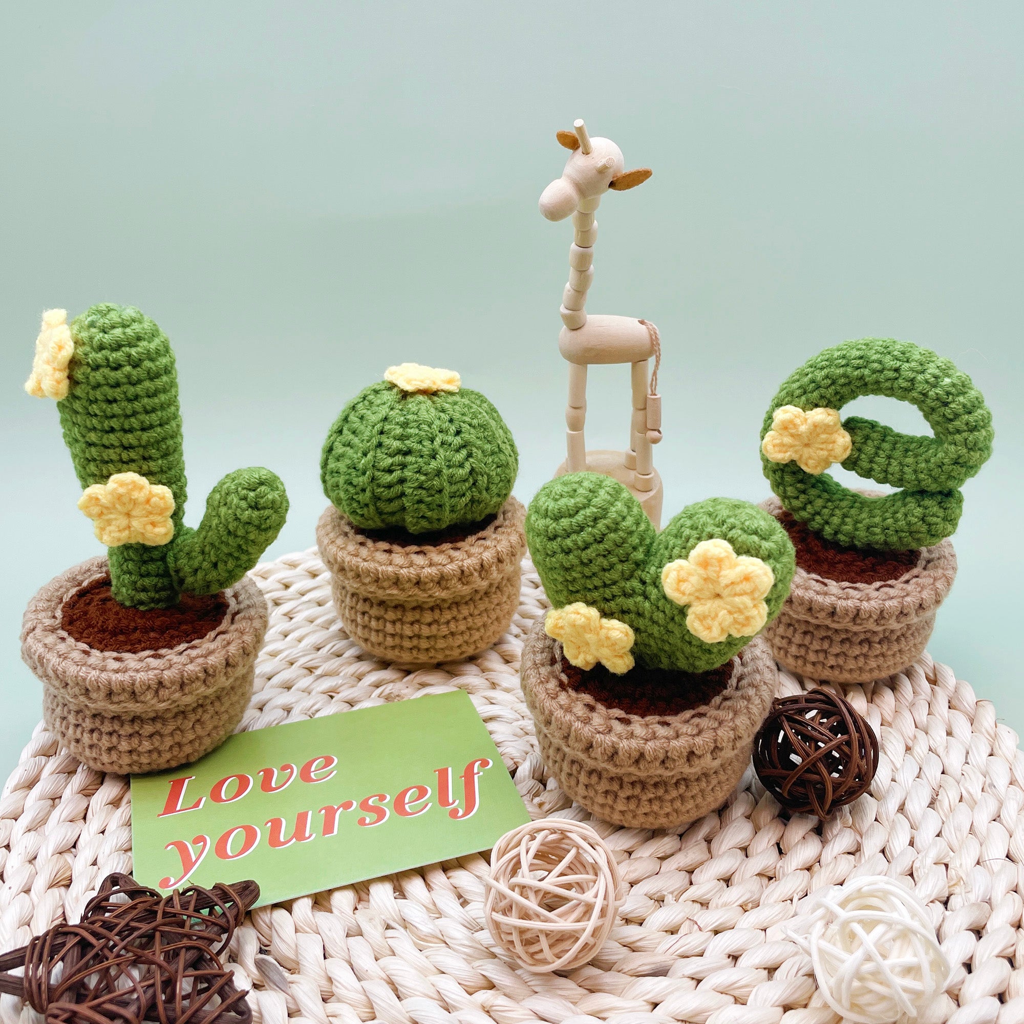 Cactus LOVE Crochet Kit